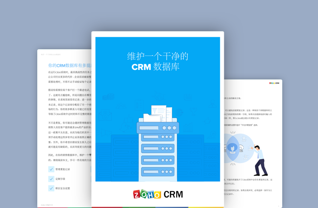 Canvas for Zoho CRM: A Comparison Guide